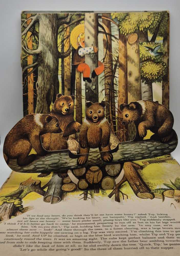POP UP BOOK Tip + Top Go Camping