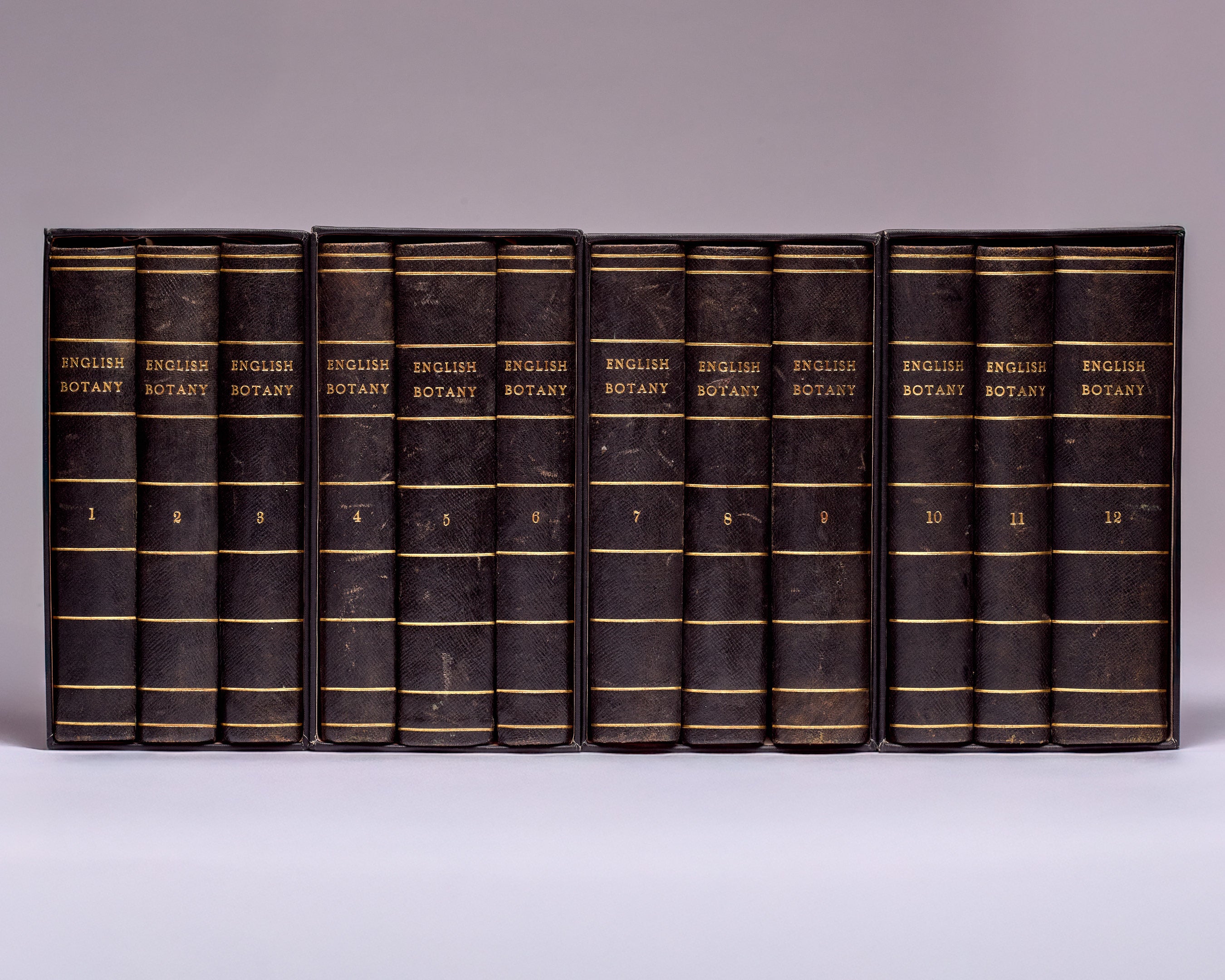 English Botany: or, coloured Figures of British Plants, with the essential characters, synonyms, and places of growth.