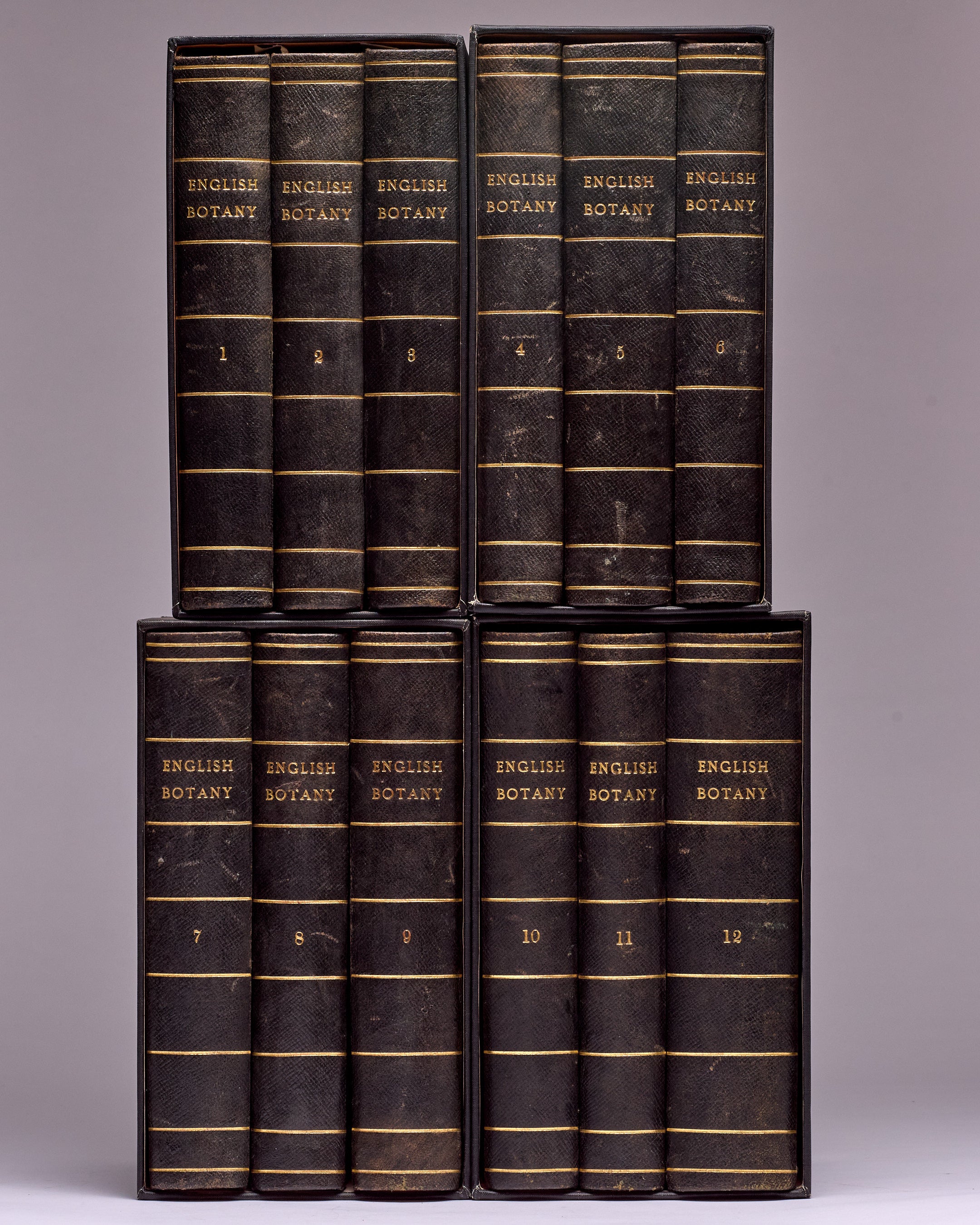 English Botany: or, coloured Figures of British Plants, with the essential characters, synonyms, and places of growth.