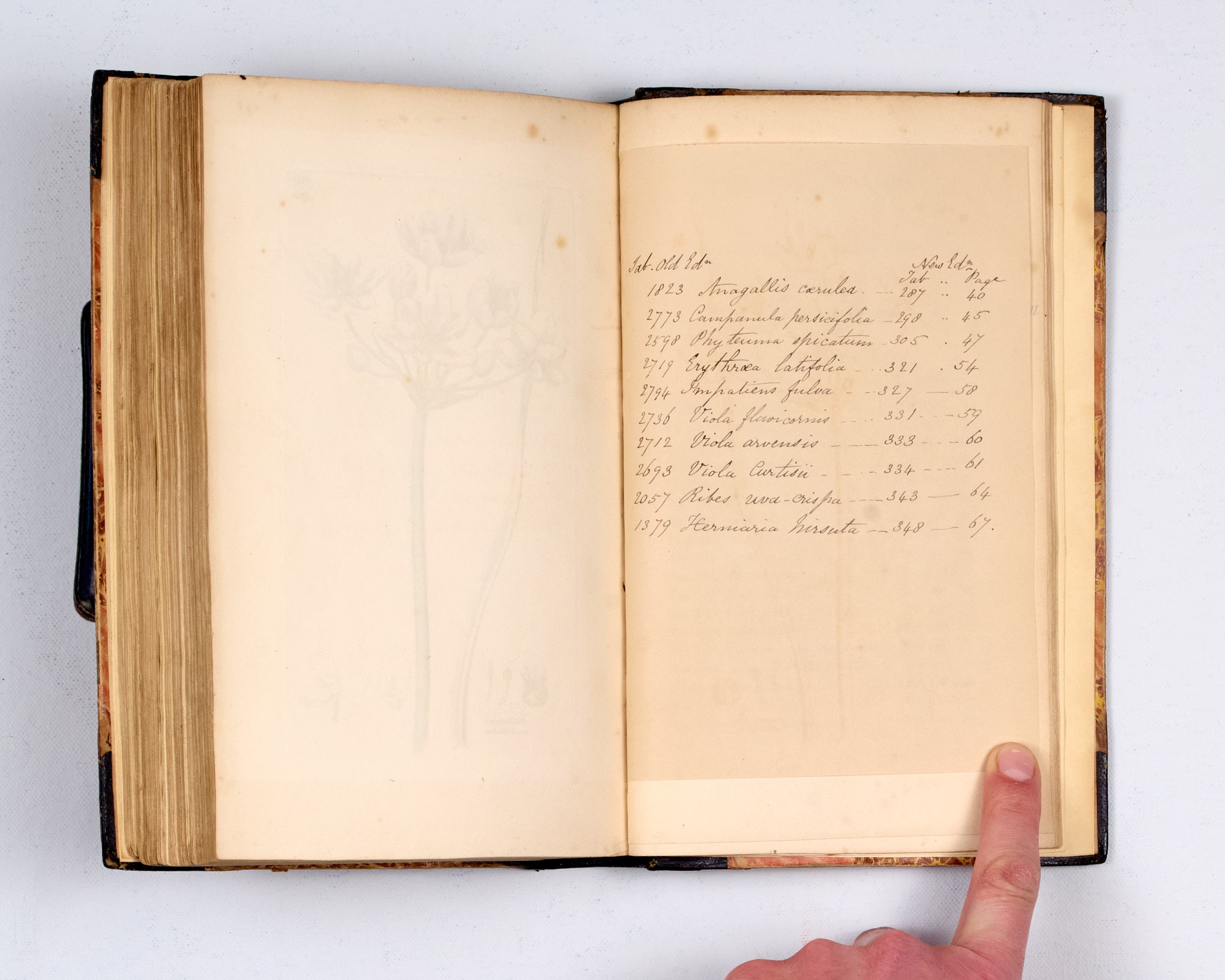 English Botany: or, coloured Figures of British Plants, with the essential characters, synonyms, and places of growth.