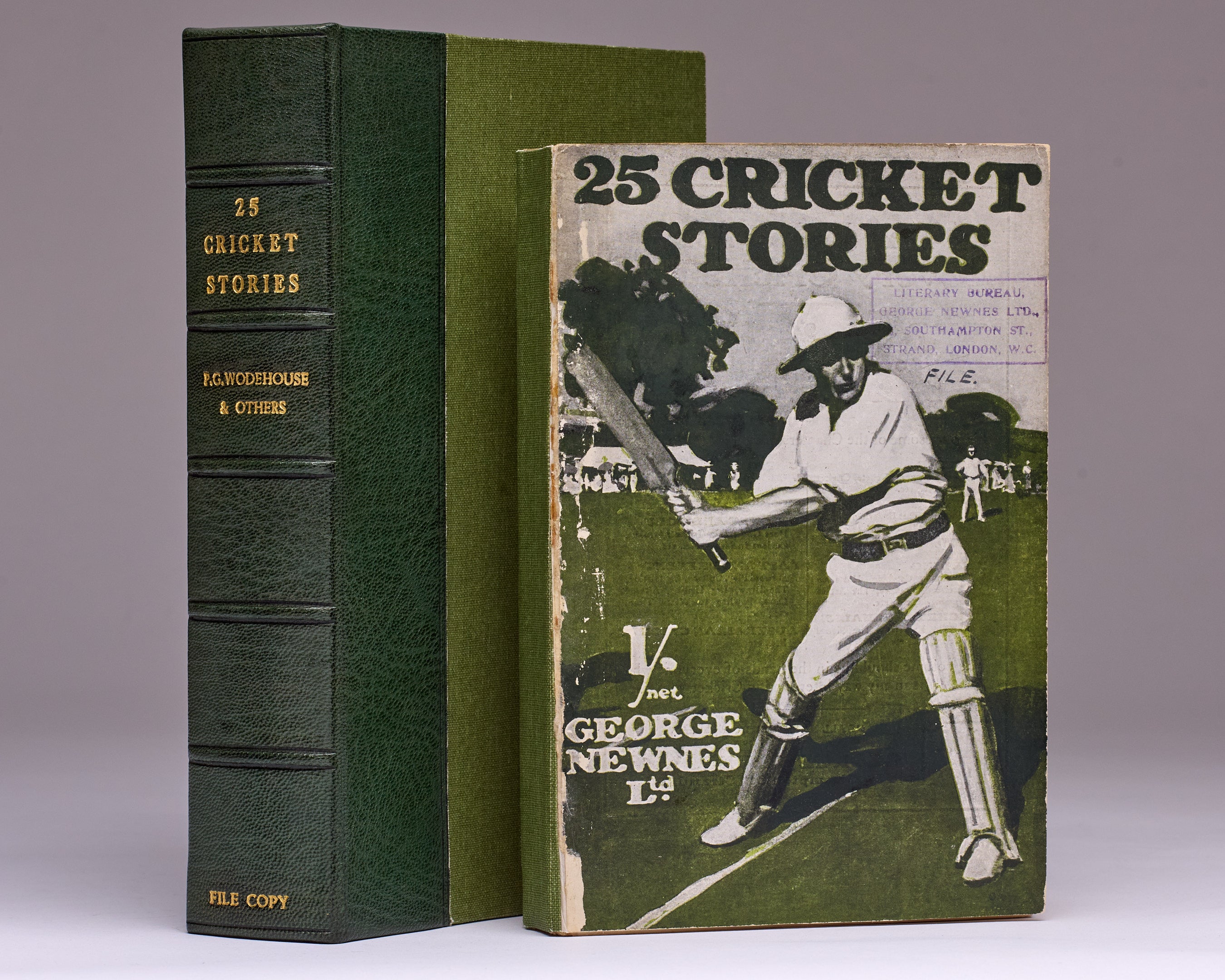 25 Cricket Stories