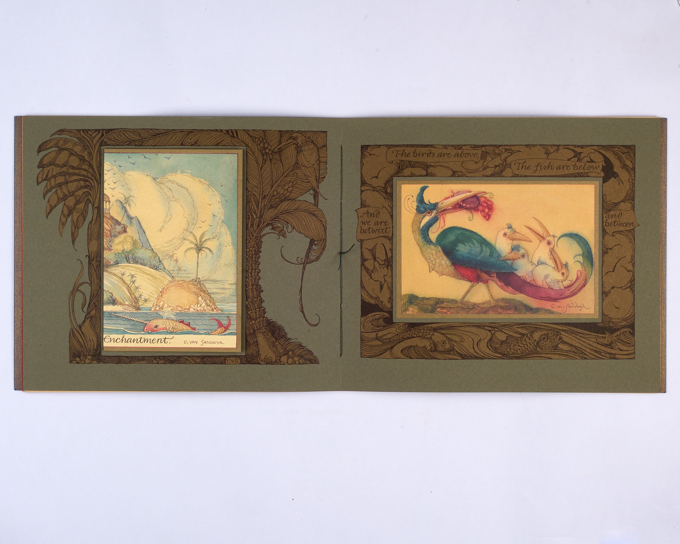 Sketches from the Dream Island of Birds