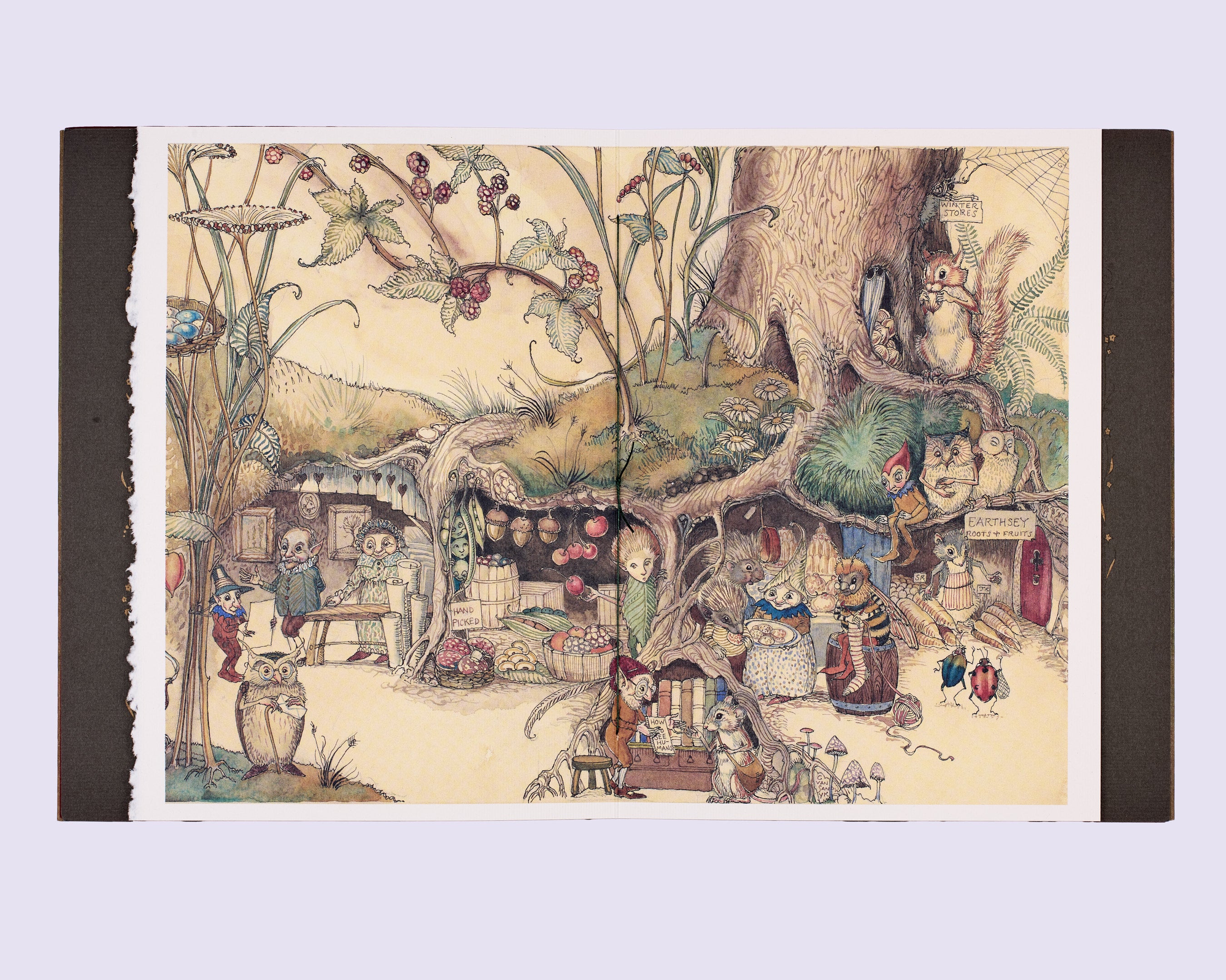 The Fairy Market