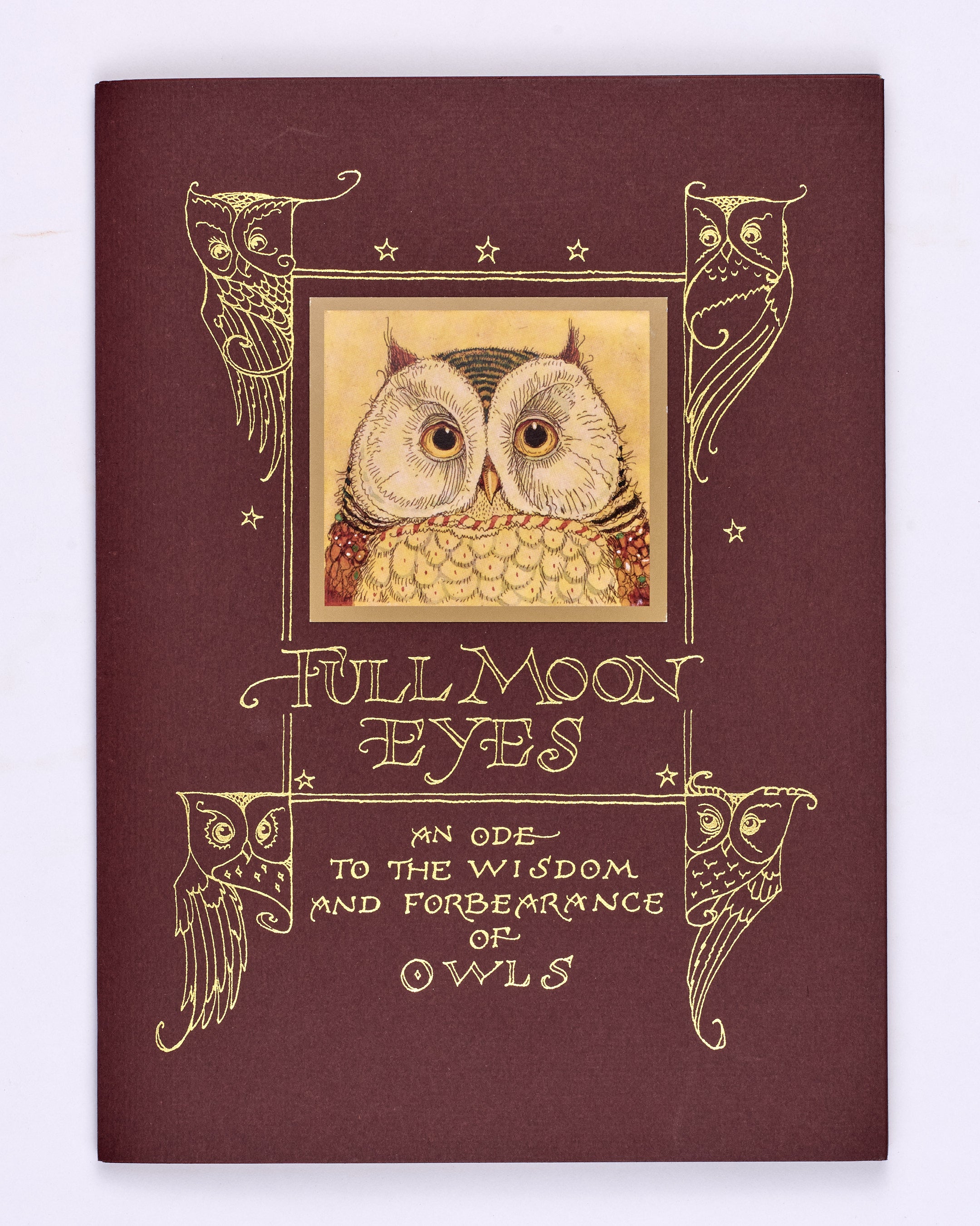 Full Moon Eyes. An Ode to the Wisdom and Forbearance of Owls.