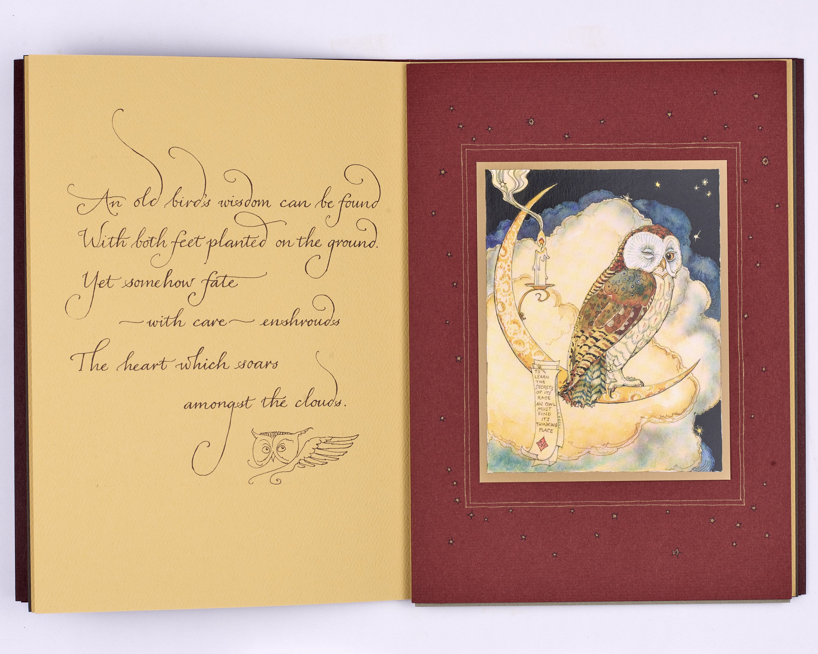 Full Moon Eyes. An Ode to the Wisdom and Forbearance of Owls.