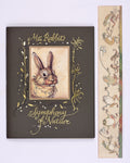 Mr Rabbit’s Symphony of Nature