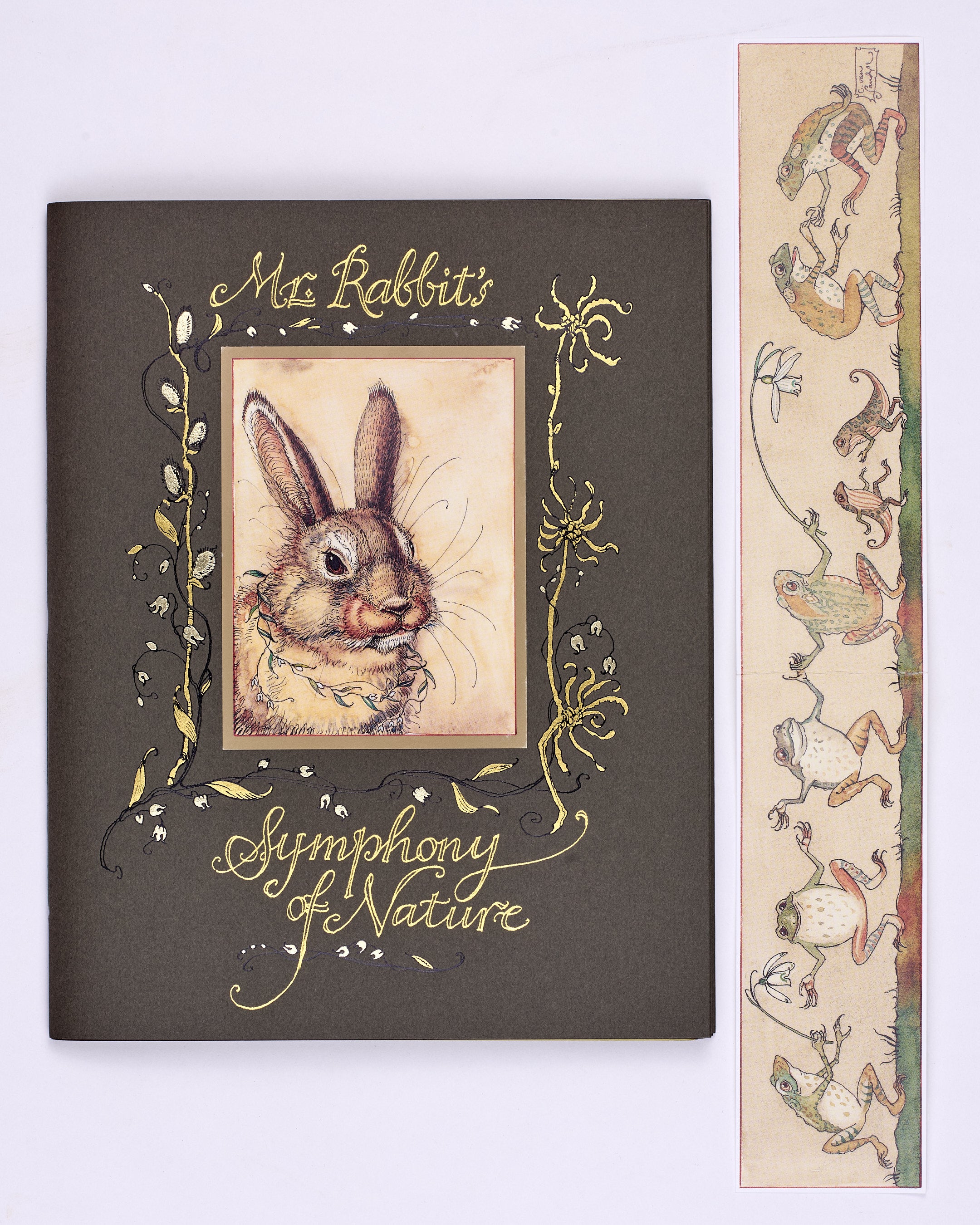 Mr Rabbit’s Symphony of Nature