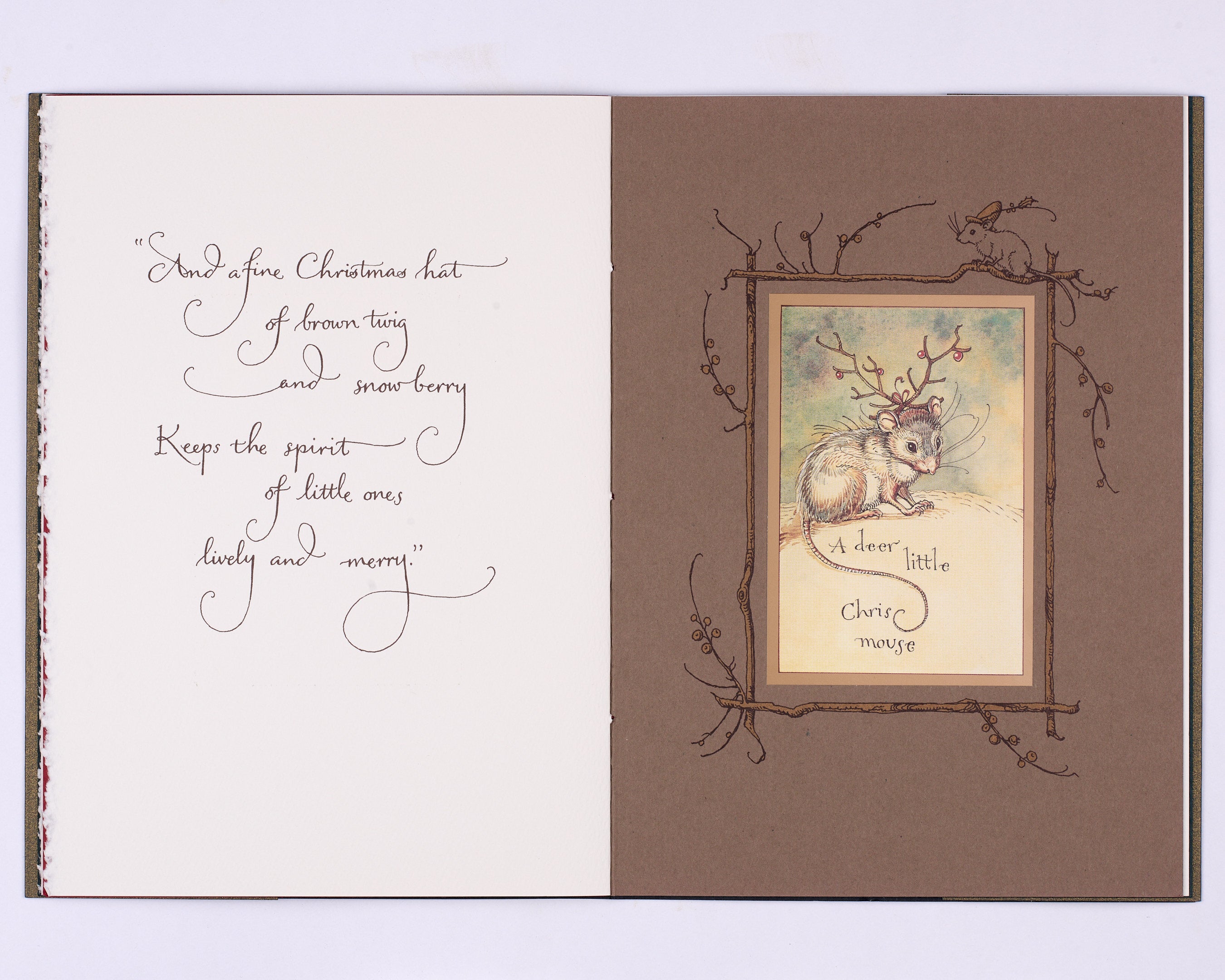 Mr Rabbit’s Christmas Wish
