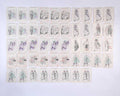 [WOMEN’S SUFFRAGE] A complete set of Panko Suffragists & Anti-Suffragists playing cards, complete with original case and rule sheet