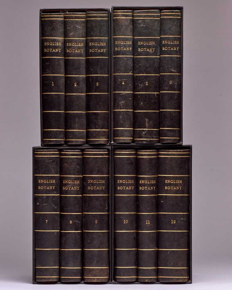 English Botany: or, coloured Figures of British Plants, with the essential characters, synonyms, and places of growth.