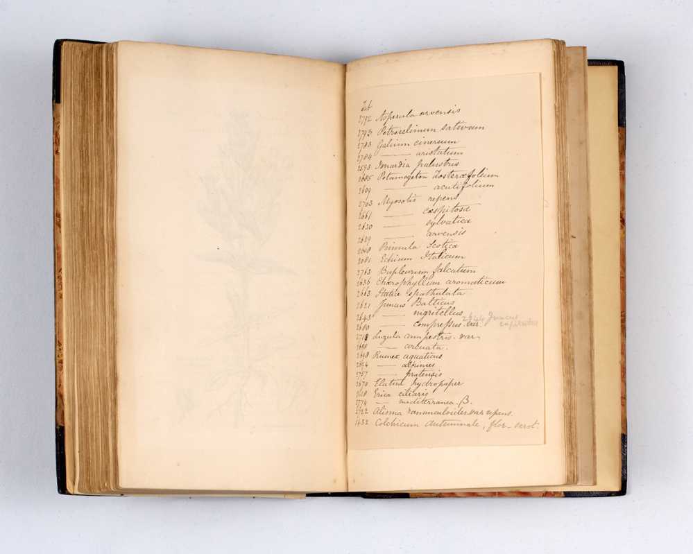 English Botany: or, coloured Figures of British Plants, with the essential characters, synonyms, and places of growth.