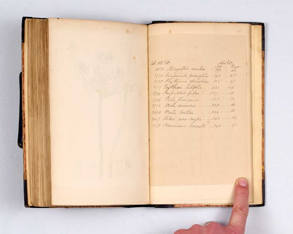 English Botany: or, coloured Figures of British Plants, with the essential characters, synonyms, and places of growth.