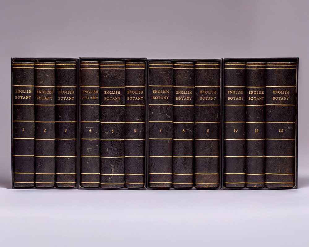 English Botany: or, coloured Figures of British Plants, with the essential characters, synonyms, and places of growth.
