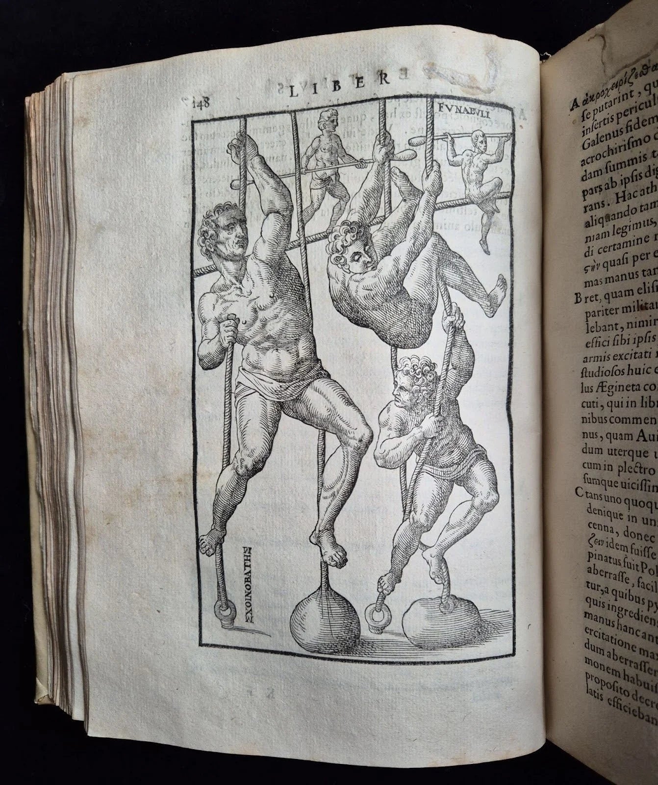 De arte gymnastica libri sex…