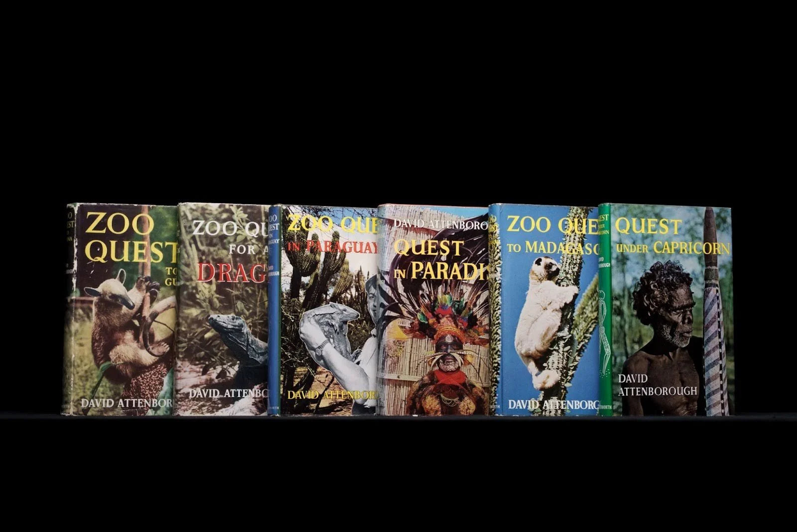 [Zoo Quest Series]